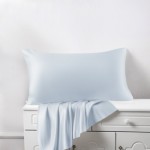 Alice Blue Silk Pillowcases for Sale