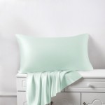 Light Cyan Silk Pillowcases for Sale