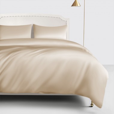 Beige 22 Momme Mulberry Silk Duvet Cover for Sale