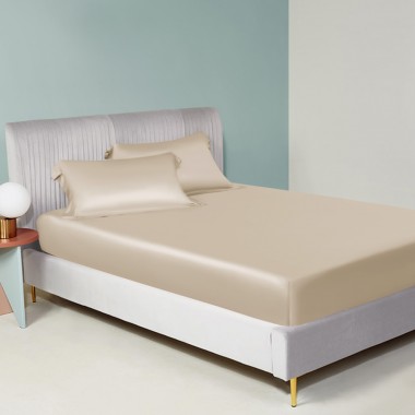Beige 22 Momme Mulberry Silk Fitted Sheet for Sale
