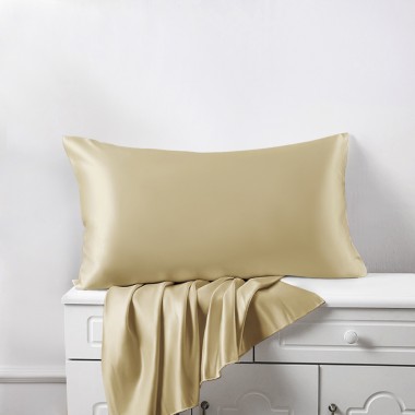 Champagne 22 Momme Mulberry Silk Pillowcase with Hidden Zipper for Sale