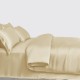 Champagne 3 PCS 22 Momme Mulberry Silk Duvet Cover Set for Sale Champagne 3 PCS 22 Momme Mulberry Silk Duvet Cover Set for Sale