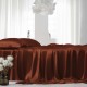 Rust Red 22 Momme Mulberry Silk Sheet Set for Sale Rust Red 22 Momme Mulberry Silk Sheet Set for Sale